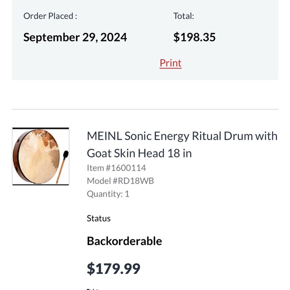 MEINL Sonic Energy Ritual Drum with Goat Skin Head 18 in - Picture 4 of 4